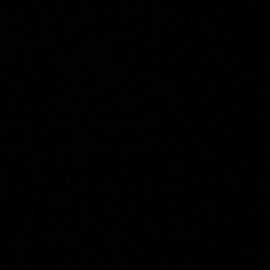 Meet your Posher, Dara